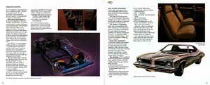 1973 Pontiac LeMans & Grand Am-14-15.jpg